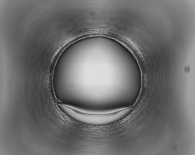 X0000094921260200712201212