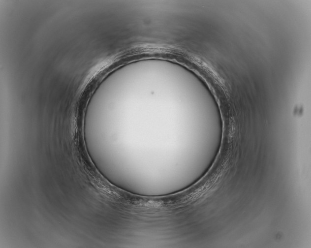 X0000094921261200712201212