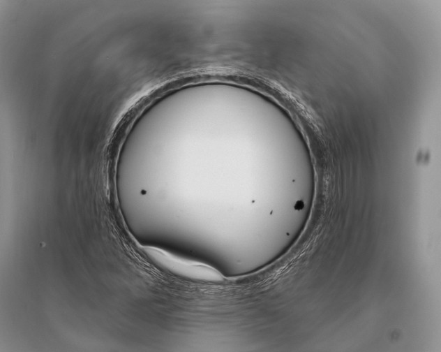 X0000094921262200712201212