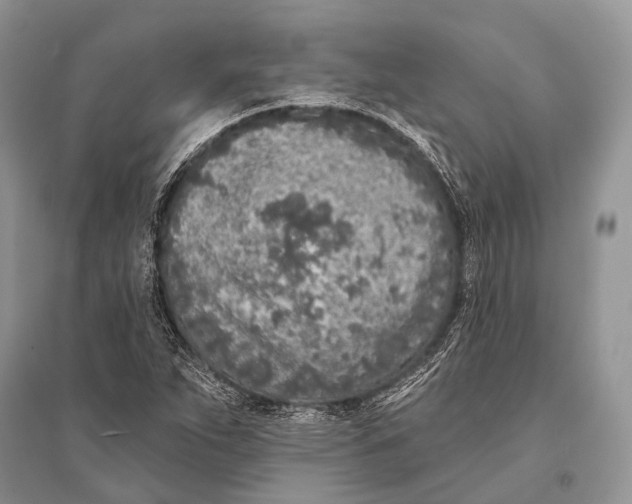 X0000094921263200712201212