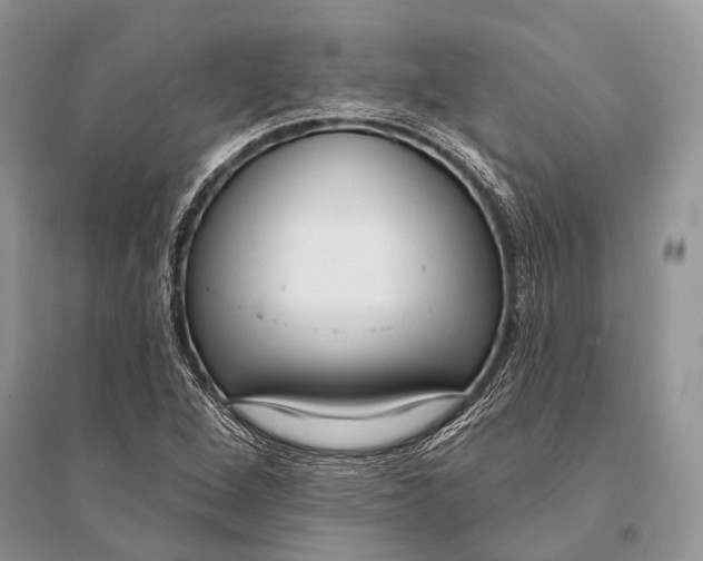 X0000094921264200712201212