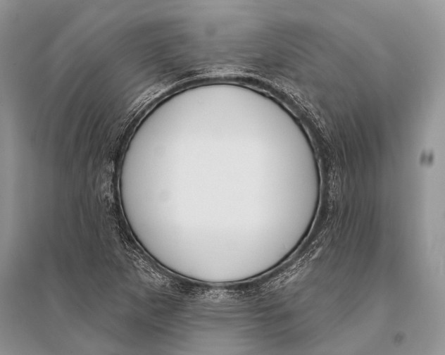 X0000094921265200712201212