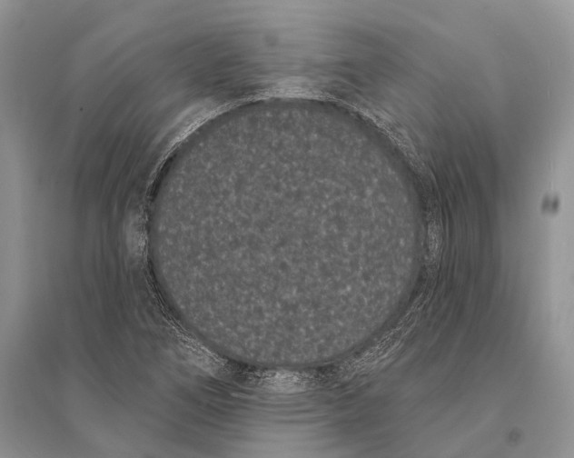 X0000094921266200712201212