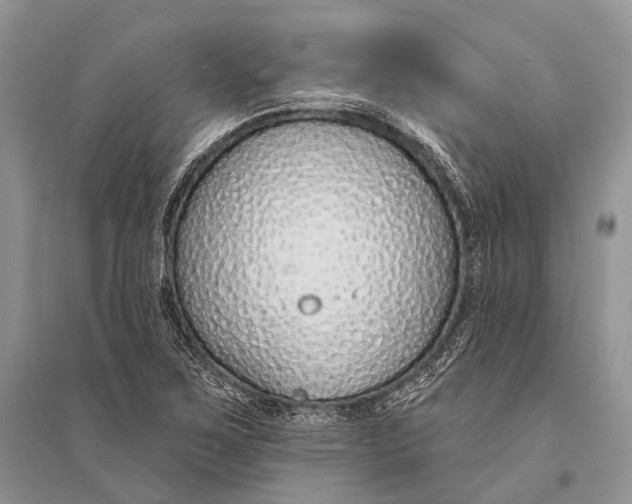 X0000094921267200712201212