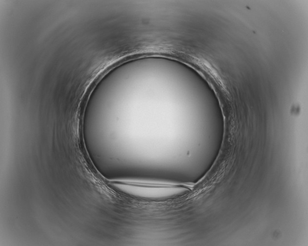 X0000094921268200712201212