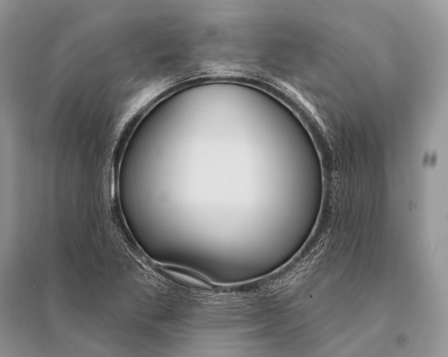 X0000094921269200712201212