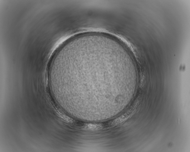 X0000094921271200712201212