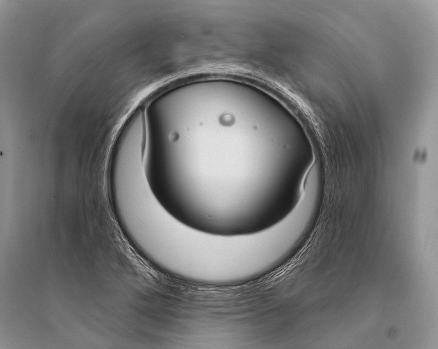 X0000094921272200712201212