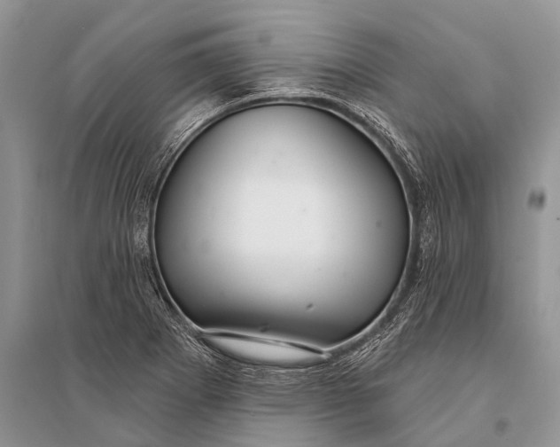 X0000094921273200712201212