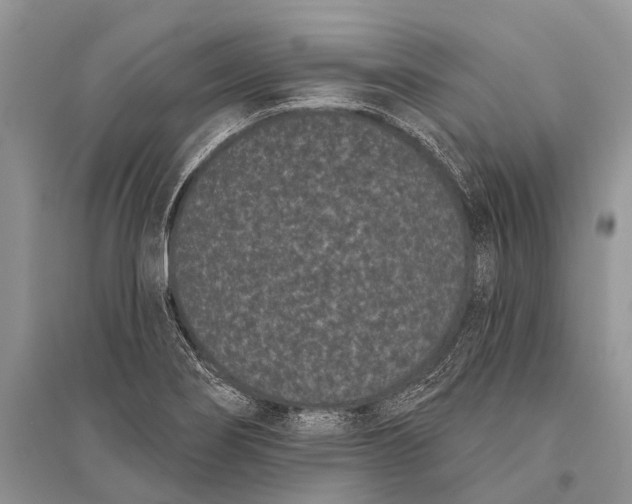 X0000094921274200712201212