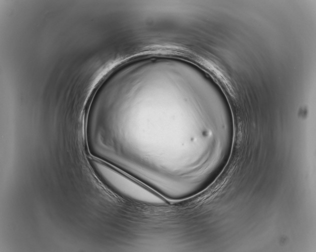 X0000094921275200712201212