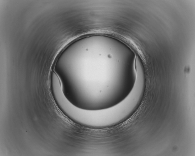 X0000094921276200712201212