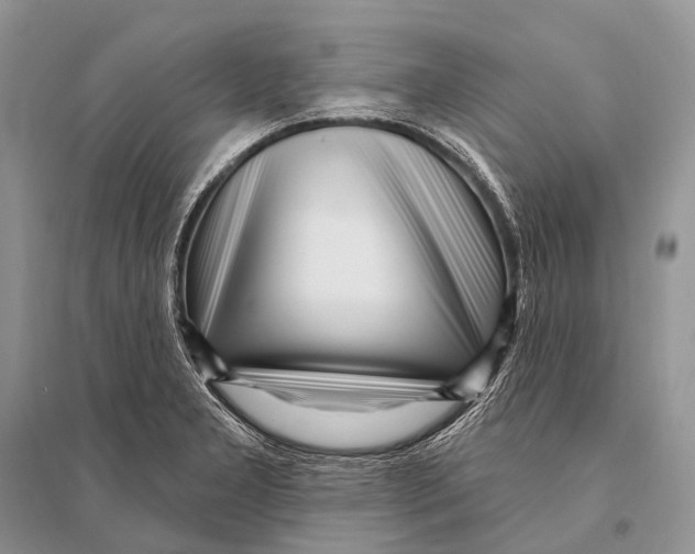 X0000094921277200712201212