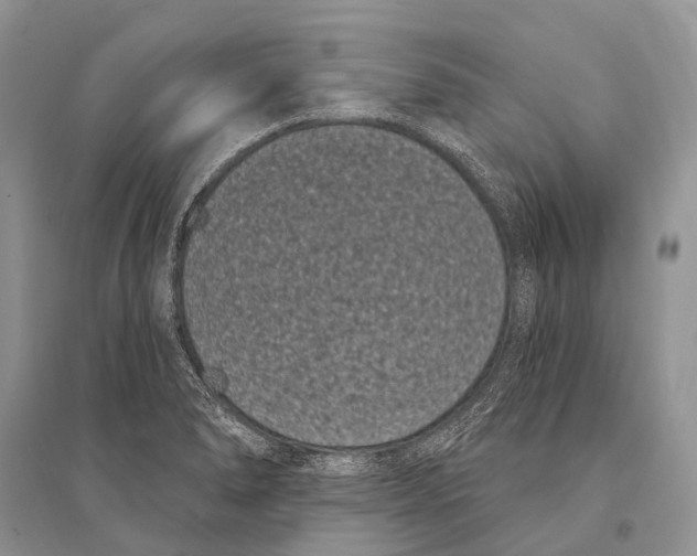 X0000094921278200712201212