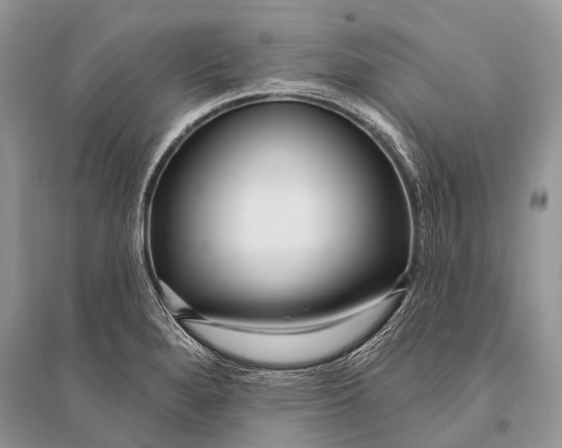 X0000094921280200712201212