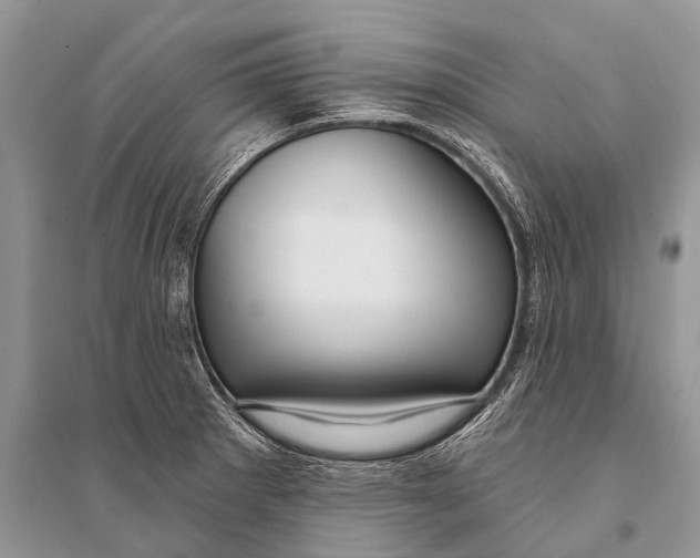 X0000094921281200712201211