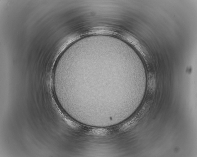 X0000094921282200712201211