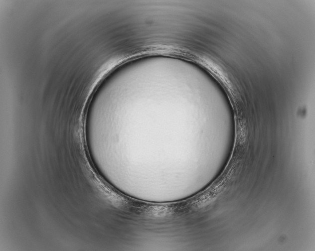 X0000094921283200712201211