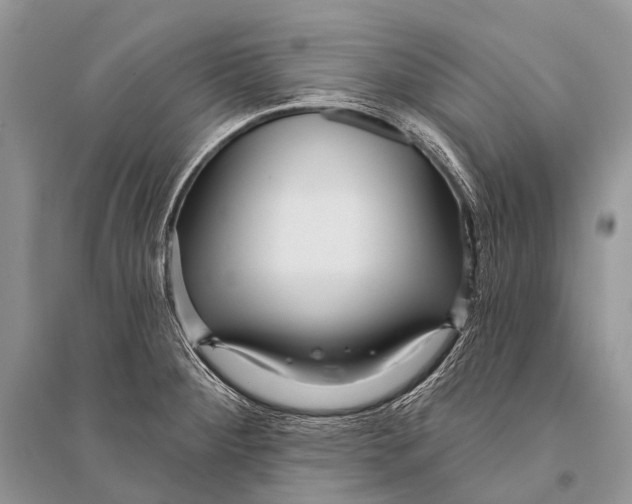 X0000094921284200712201211