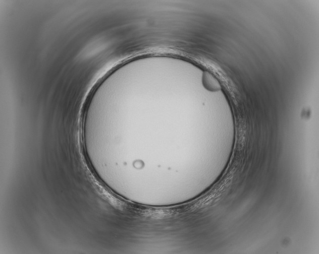 X0000094921286200712201211