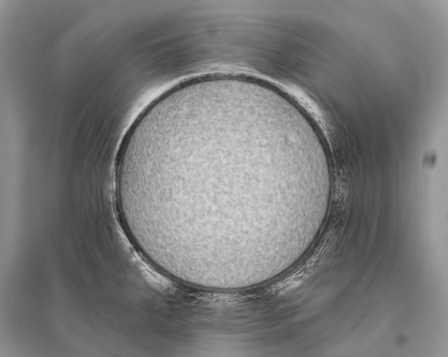 X0000094921287200712201211