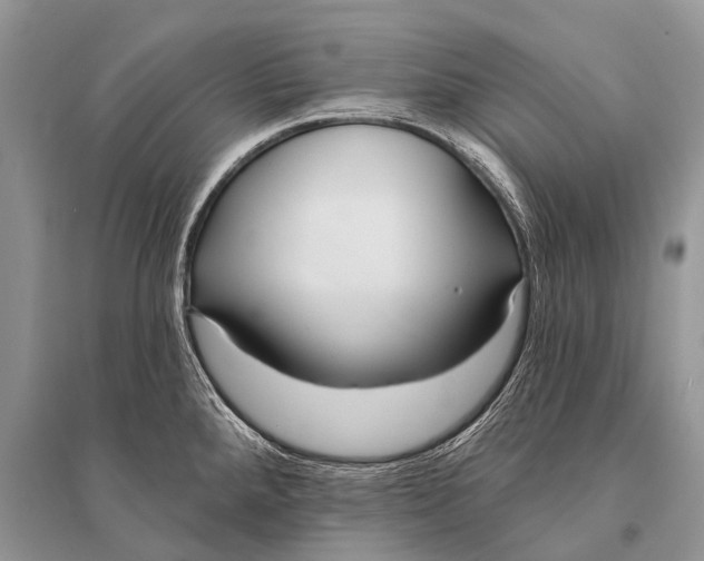 X0000094921288200712201211