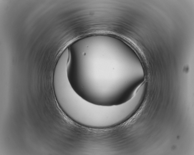 X0000094921289200712201211