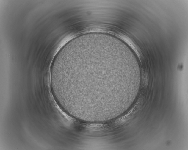 X0000094921290200712201211