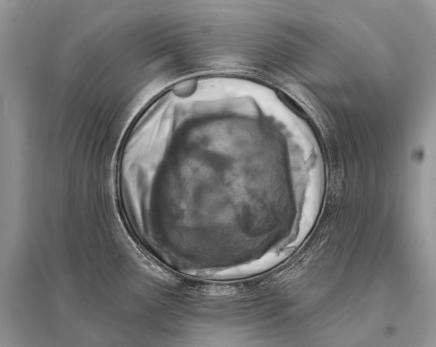 X0000094921291200712201211