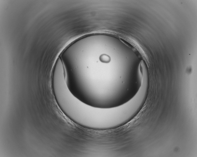 X0000094921292200712201211