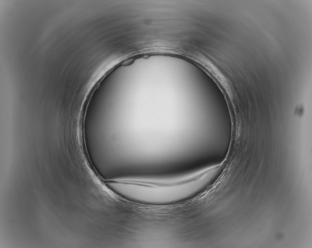 X0000094921293200712201211