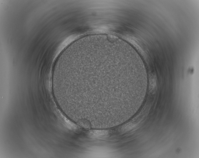 X0000094921294200712201211