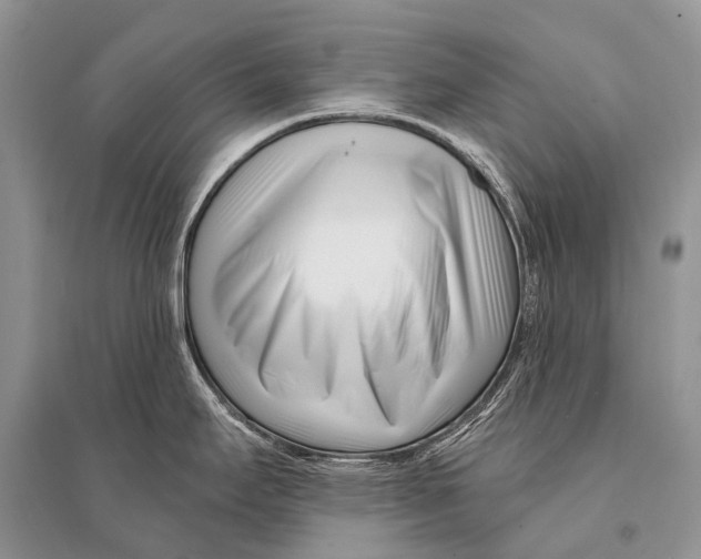 X0000094921295200712201211