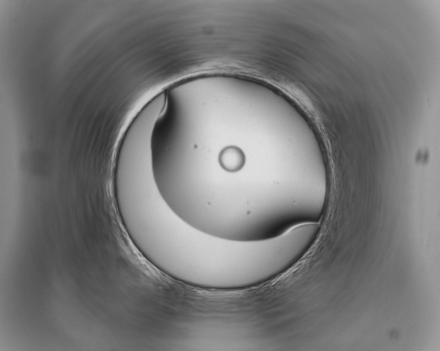 X0000094921296200712201211