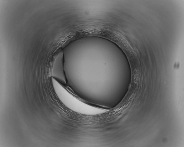 X0000094921298200712201211