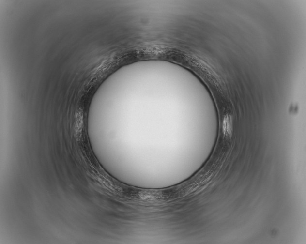 X0000094921299200712201211