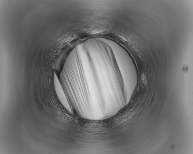 X0000094921300200712201211