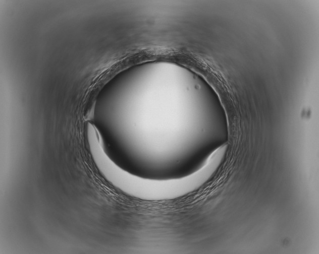 X0000094921301200712201211