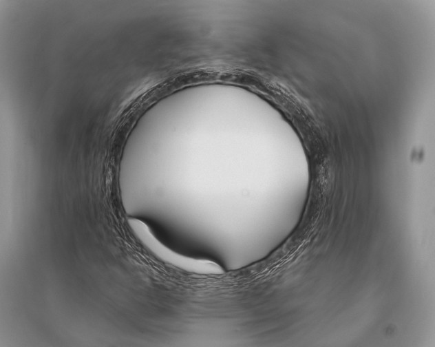 X0000094921302200712201211