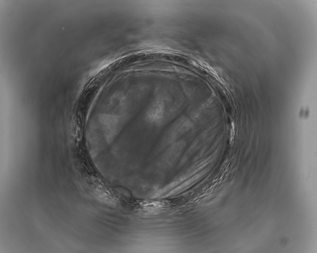 X0000094921303200712201211