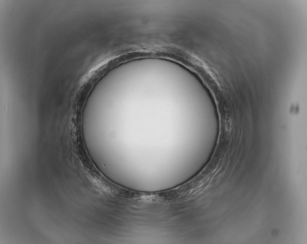 X0000094921304200712201211