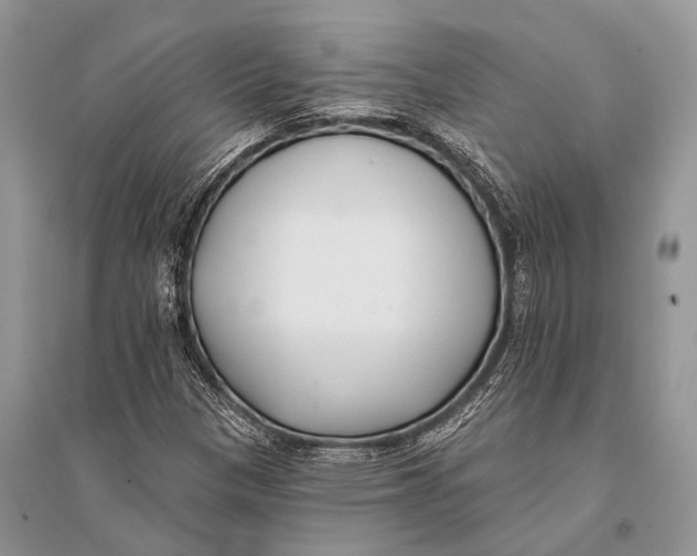 X0000094921305200712201211