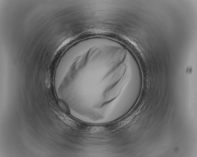 X0000094921306200712201211