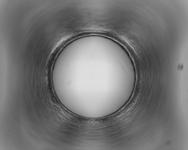 X0000094921307200712201211