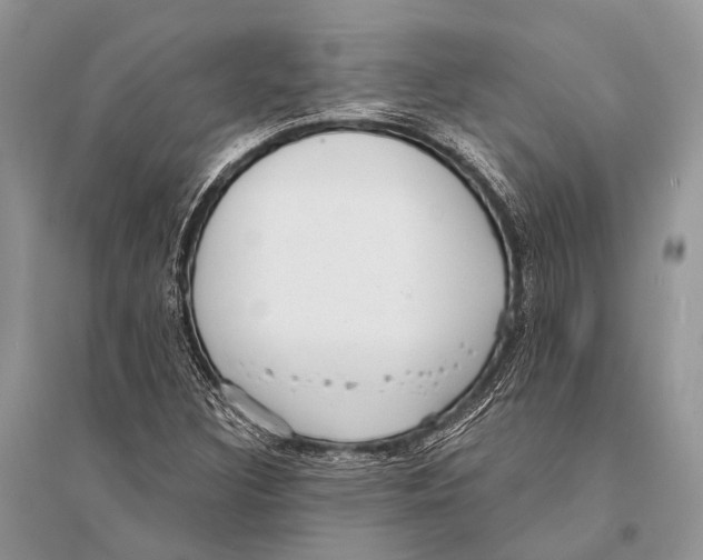 X0000094921308200712201211