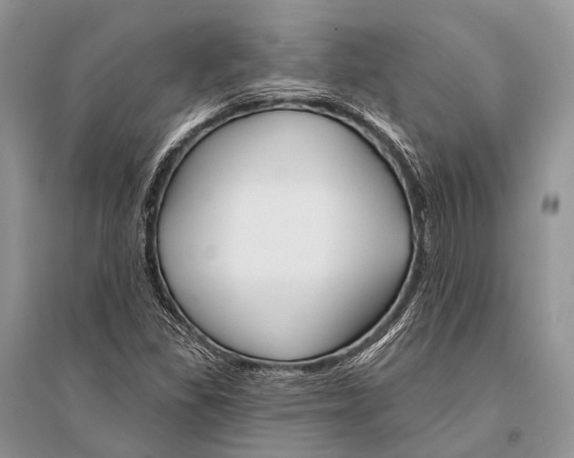 X0000094921309200712201211