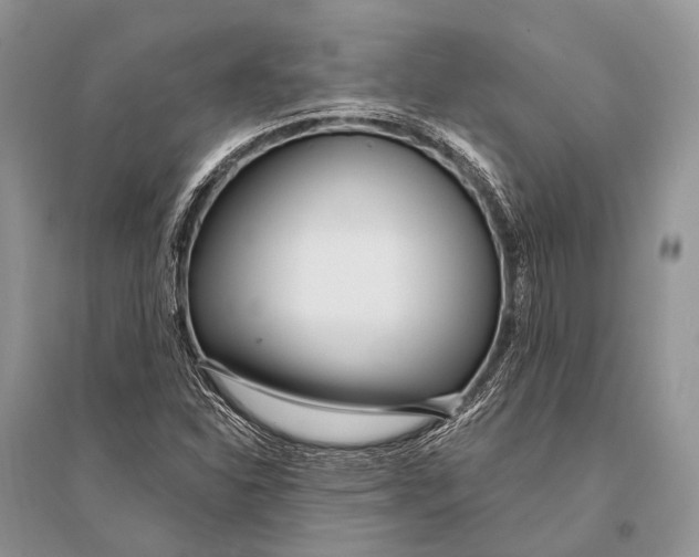 X0000094921310200712201211