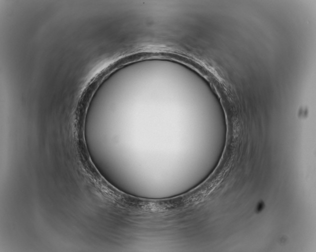 X0000094921311200712201211