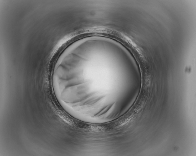 X0000094921312200712201211