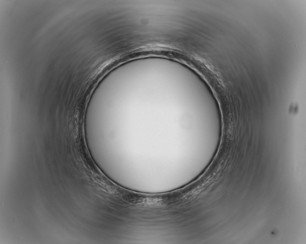 X0000094921313200712201211